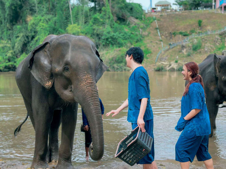 576110088_4390852454531396_7328041298014114019_n